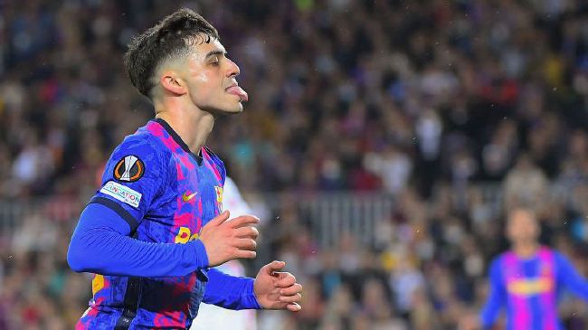 免费成人在线网站