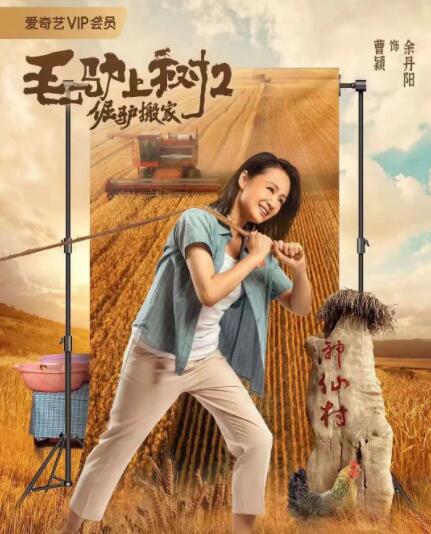 权志龙组合