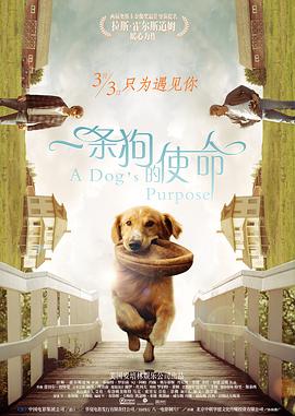 硬汗的实力