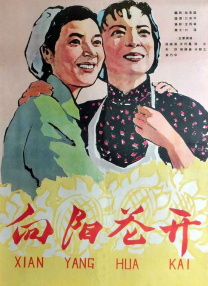 一区视频